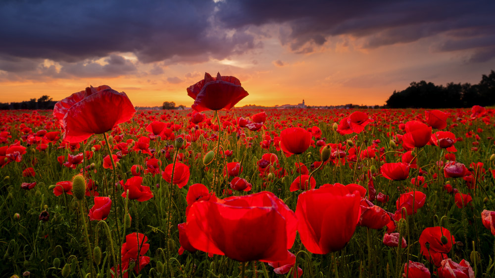 5. Platz Robert Seitz